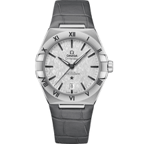 星座<span class="nowrap">系列</span> 39毫米, 精钢表壳 搭配 皮表带 - 13113392006001