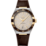 星座<span class="nowrap">系列</span> 41毫米, 精钢-黄色18 k金表壳 搭配 皮表带 - 13123412106002