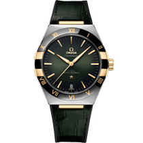 星座<span class="nowrap">系列</span> 41毫米, 精钢-黄色18 k金表壳 搭配 皮表带 - 13123412110001