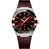 星座<span class="nowrap">系列</span> 41毫米, 精钢-Sedna™ 18k金表壳 搭配 皮表带 - 13123412111001