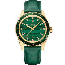 海马<span class="nowrap">系列</span> 41毫米, 黄色18 k金表壳 搭配 皮表带 - 23463412199001