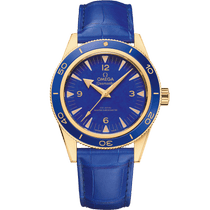 海马<span class="nowrap">系列</span> 41毫米, 黄色18 k金表壳 搭配 皮表带 - 23463412199002