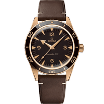 海马<span class="nowrap">系列</span> 41毫米, 青铜金 搭配 皮表带 - 23492412110001