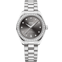 海马系列 AQUA TERRA 150米<span class="nowrap">腕表</span> 30毫米, 精钢表壳 搭配 精钢表链 - 22015302056001