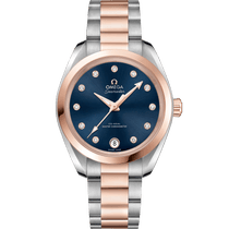 海马<span class="nowrap">系列</span> 34毫米, 精钢-Sedna™ 18k金表壳 搭配 精钢-Sedna™ 18k金表链 - 22020342053001