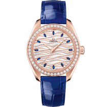 海马<span class="nowrap">系列</span> 34毫米, Sedna™ 18k金表壳 搭配 皮表带 - 22058342099005