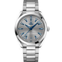 海马<span class="nowrap">系列</span> 41毫米, 精钢表壳 搭配 精钢表链 - 22010412106001