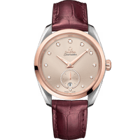 海马系列 AQUA TERRA 150米<span class="nowrap">腕表</span> 38毫米, 精钢-Sedna&trade; 18k金表壳 搭配 皮表带 - 22023382059001