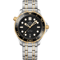 海马<span class="nowrap">系列</span> 42毫米, 精钢-黄色18 k金表壳 搭配 精钢-黄色18 k金表链 - 21020422001002