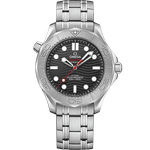 海马<span class="nowrap">系列</span> 42毫米, 精钢表壳 搭配 精钢表链 - 21030422001002