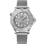 海马<span class="nowrap">系列</span> 42毫米, 精钢表壳 搭配 精钢表链 - 21030422006002