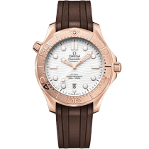 海马<span class="nowrap">系列</span> 42毫米, Sedna 18K金表壳 搭配 橡胶表带 - 21052422004001