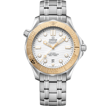 海马<span class="nowrap">系列</span> 42毫米, 精钢表壳 搭配 精钢表链 - 52221422004001