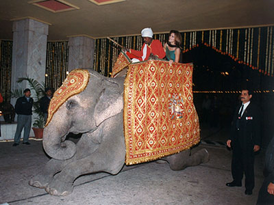 20 years with Cindy trio3